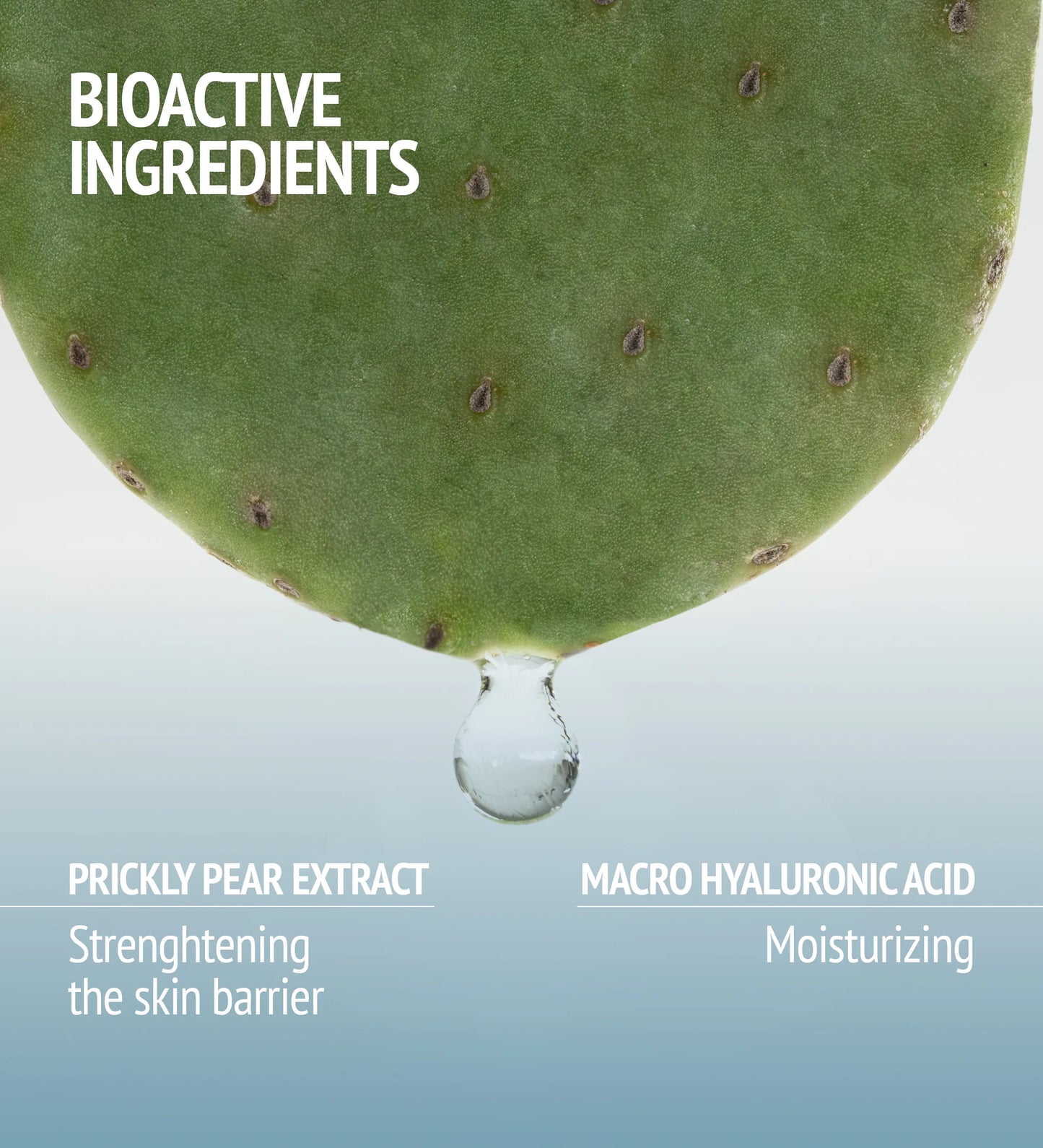 Hydra Plump Mask HYDRAMEMORY